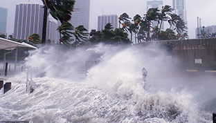 逼真場景,身臨其境